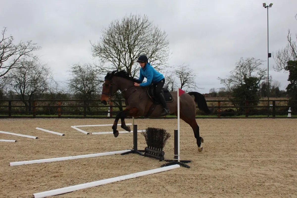 8225534031956-p19sp80dv7q74da3azdb86-IMG-9652 thumbnail image