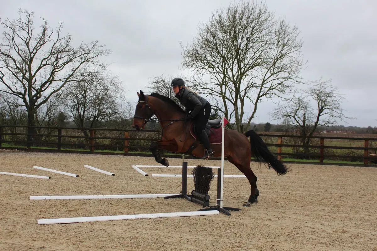 8225534055762-a29lsjrdo2l4hkrwwicvjo-IMG-9651 thumbnail image