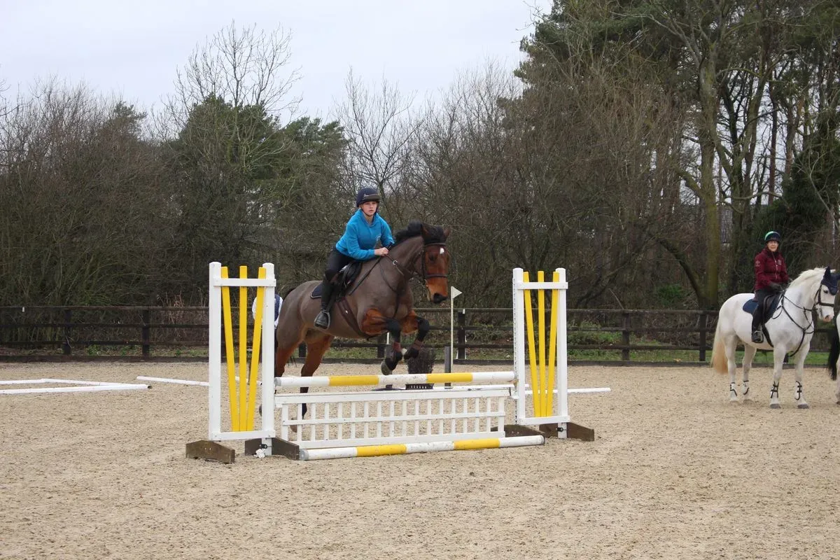 8225534094028-a752sjh5snoi3tsm5evmsa-IMG-9648 thumbnail image