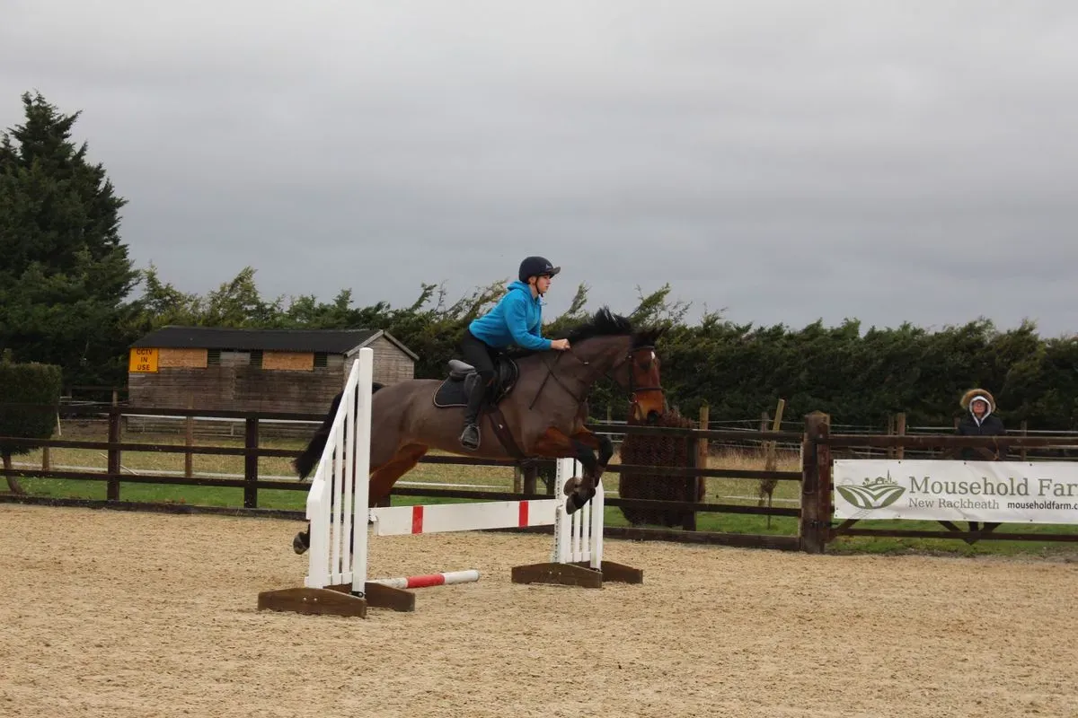 8225534132554-dryl533ubrbe54ikw4o8p-IMG-9645 thumbnail image