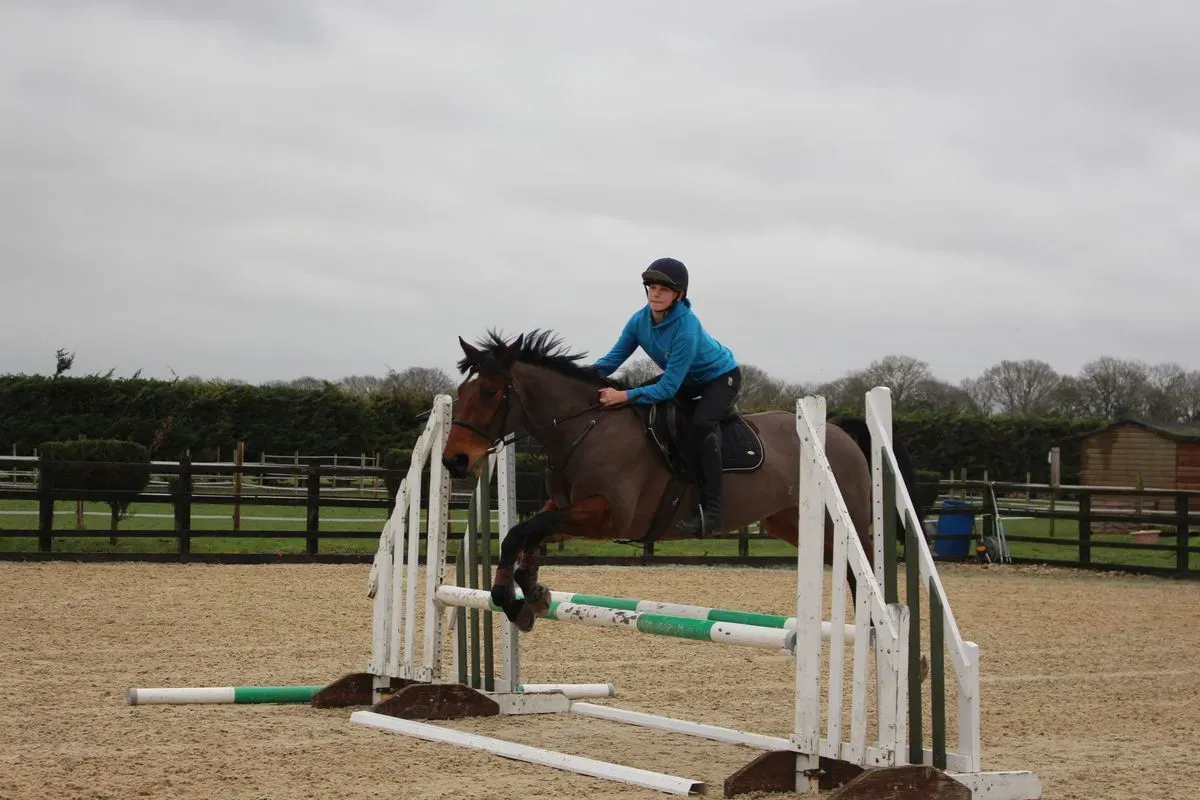 8225534213063-pm4iq5wafmhos0mn09dvl-IMG-9643 thumbnail image