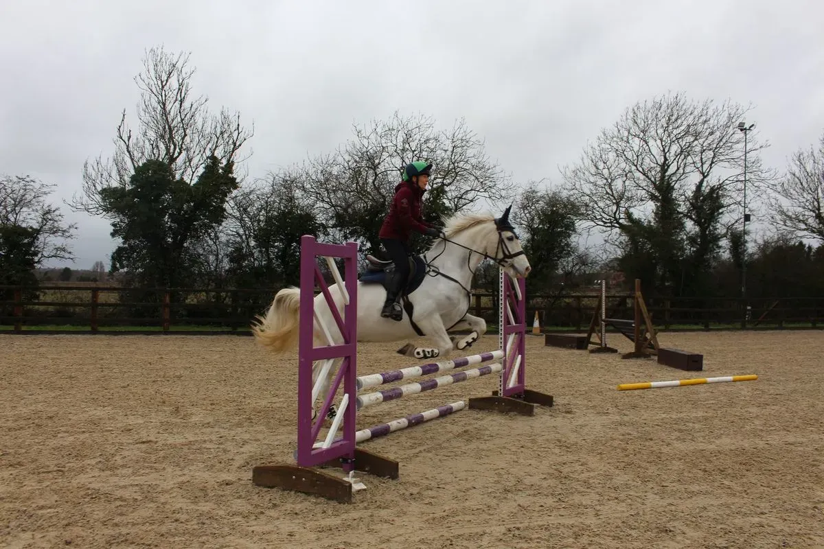 8225534251577-d2l067wgbp6btgq2seluuu-IMG-9640 thumbnail image