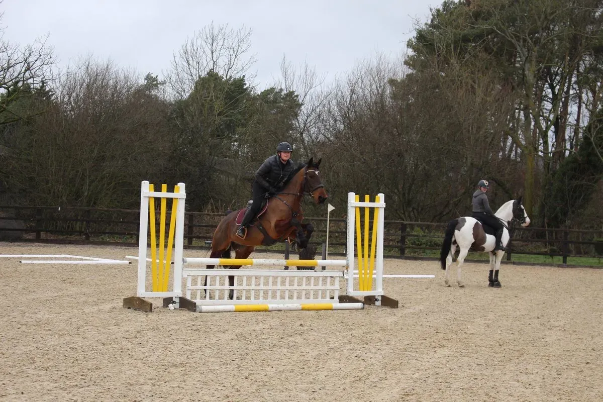 8225534342865-4mhpb4wjmbxup2vstrljfc-IMG-9637 thumbnail image