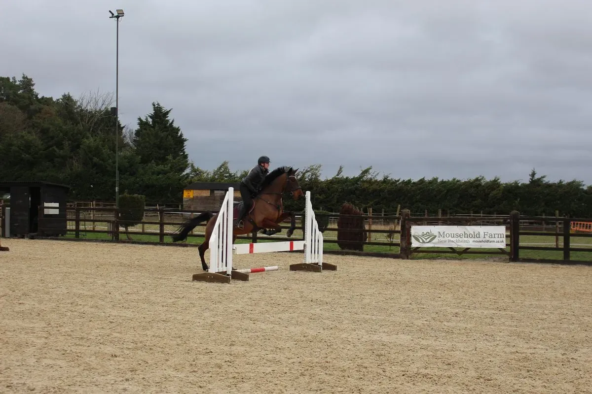 8225534387285-3qdx9po4a075b8gfga42bg-IMG-9633 thumbnail image