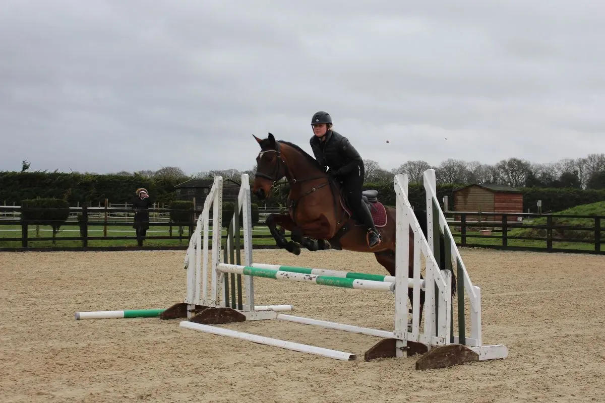 8225534454223-d1gvqvhzlxzi2pheimp3-IMG-9631 thumbnail image