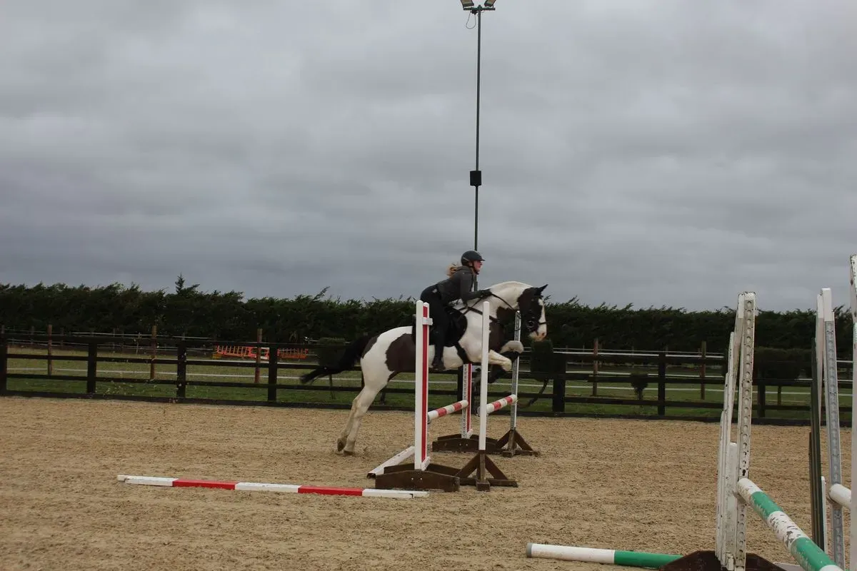 8225534547924-558lenqufknmg8jpwha3-IMG-9627 thumbnail image