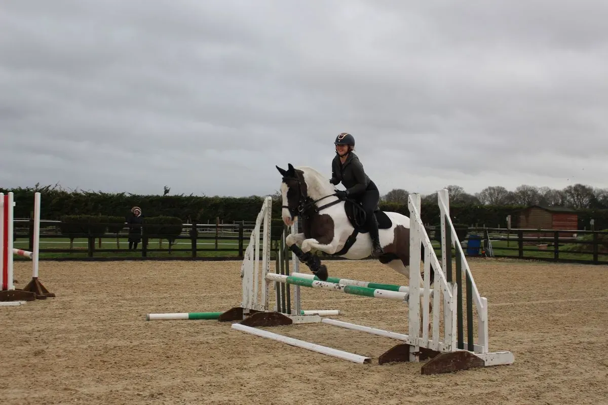 8225534633336-v4tc04oga19uw8fw6sbm-IMG-9626 thumbnail image