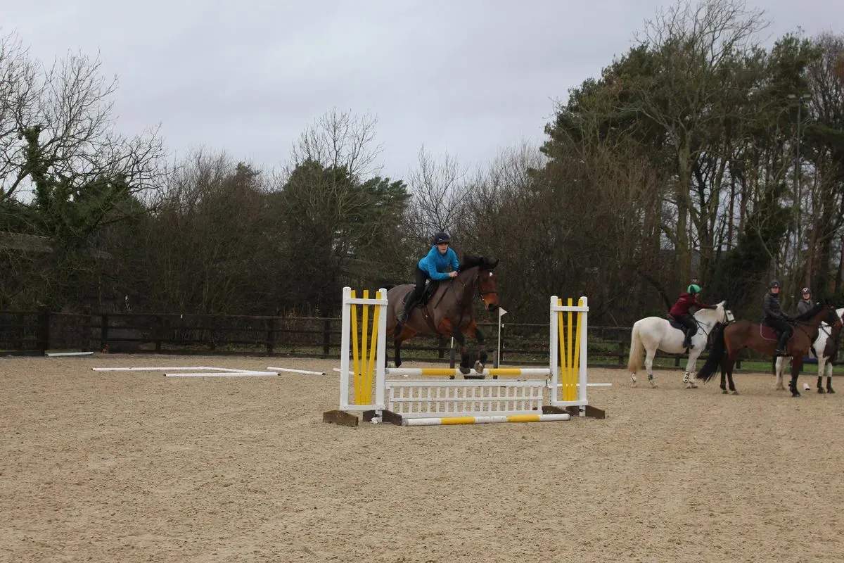 8225534680555-s86a85hvz6e0ewfog3i4o-IMG-9625 thumbnail image