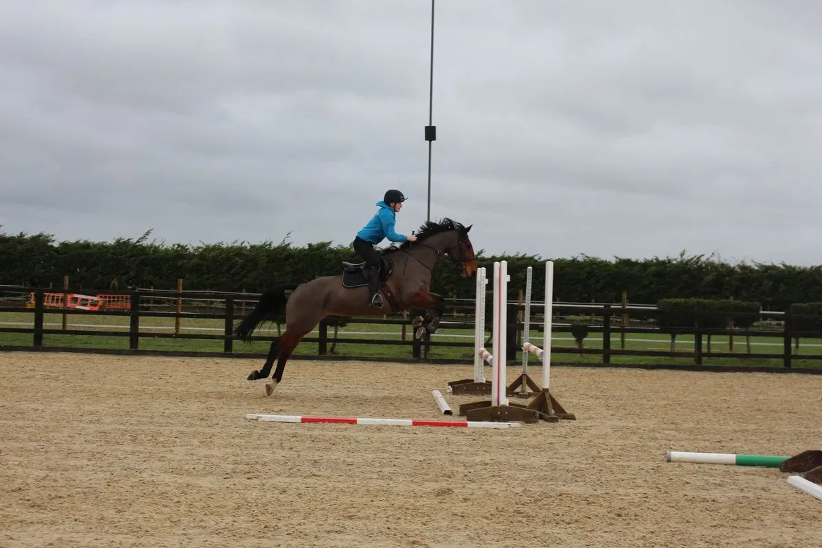 8225534766356-bi9jy83vsr48e6xad4todl-IMG-9623 thumbnail image