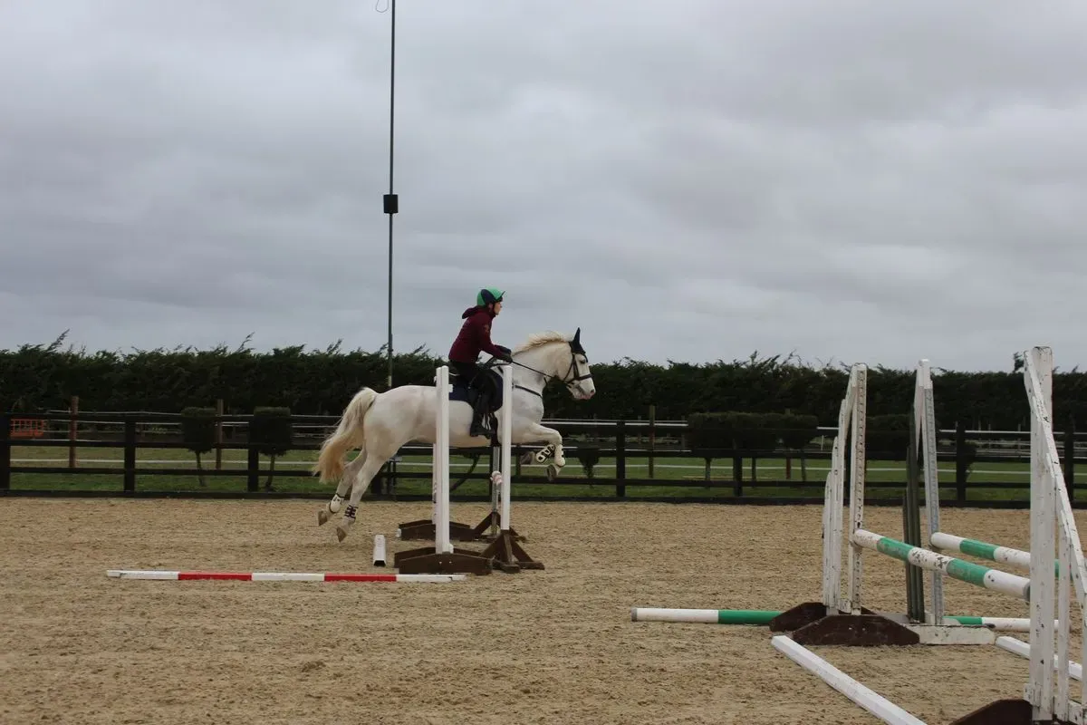 8225535062071-fhoy6d1la4ikyib4mj1i1-IMG-9615 thumbnail image