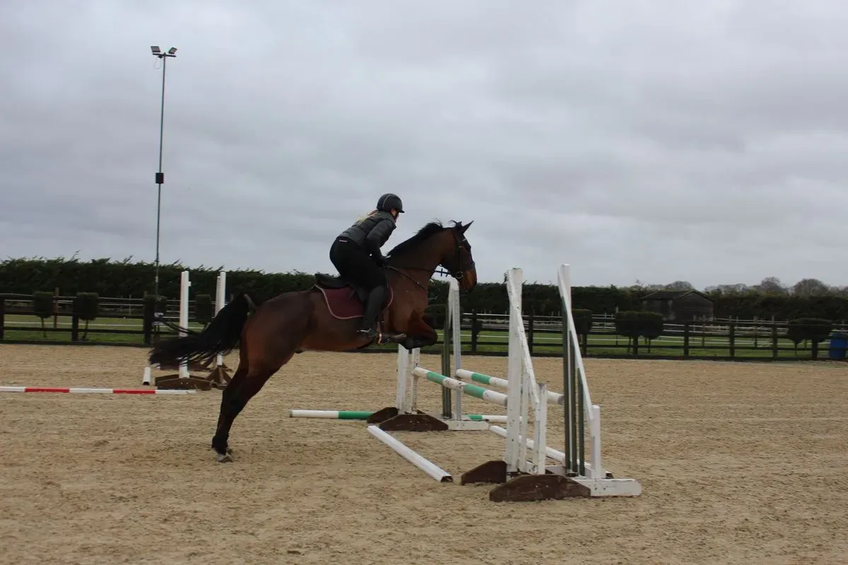 8225535086845-rk5ex51ie8dp3wpop3fav-IMG-9611 thumbnail image