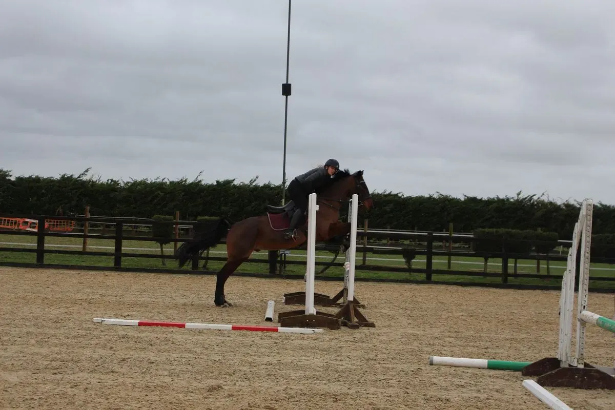 8225535131614-7jf8eixc7hjbx96x1chqyl-IMG-9608 thumbnail image