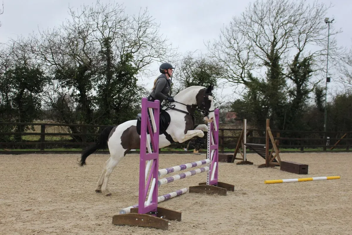 8225535243047-cxecaaq14xspm9jck3su1-IMG-9604 thumbnail image