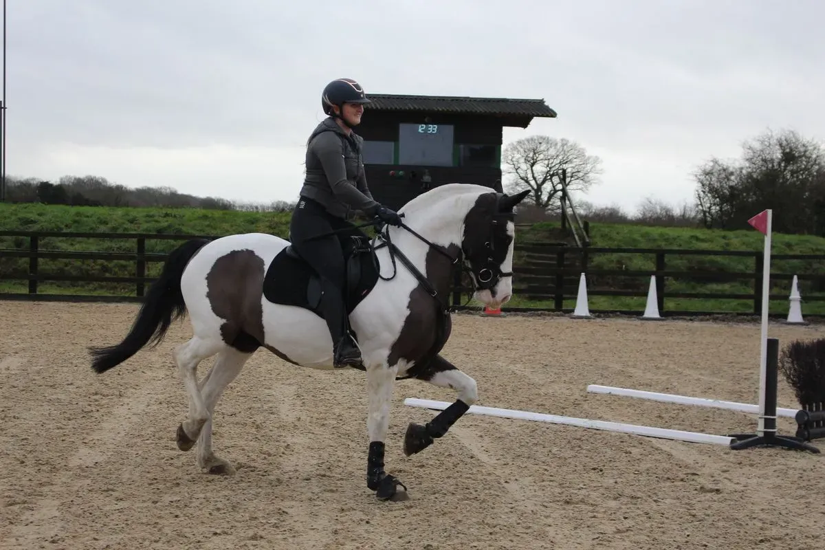 8225535294568-2ihopl8oczx0ze9mceqxst-IMG-9598 thumbnail image