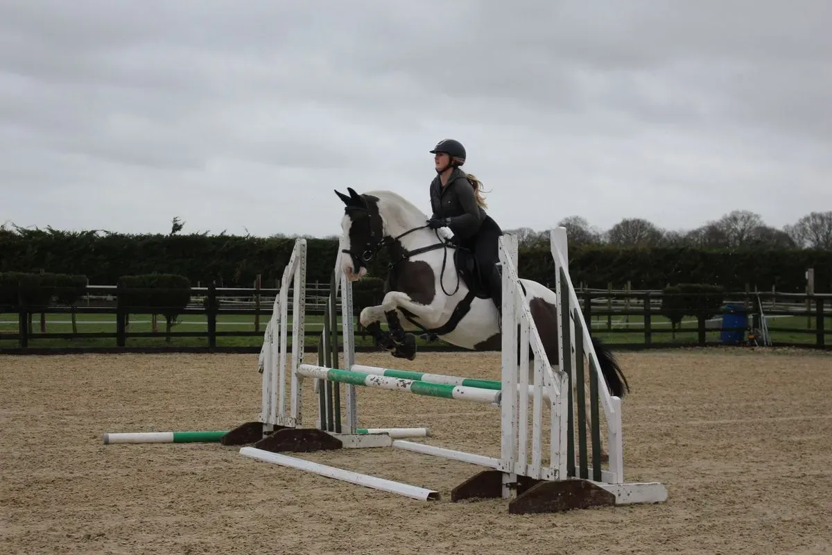 8225535369617-ak59g9zncd6pvjos95tyq-IMG-9594 thumbnail image