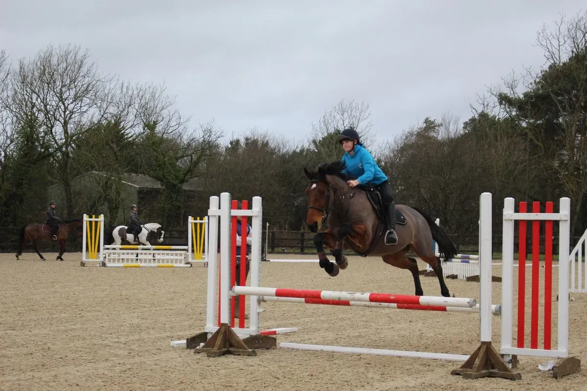 8225535412949-rqksknql1lkdguebfizjdw-IMG-9588 thumbnail image