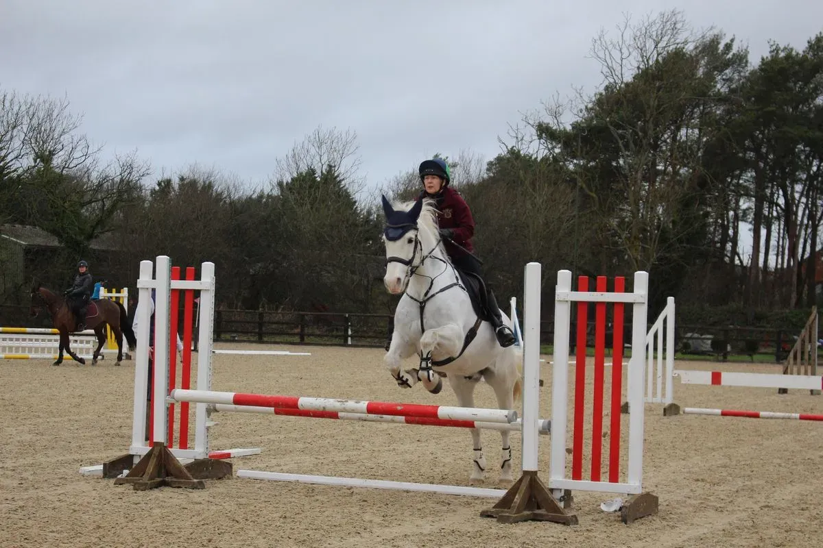 8225535459402-houju9u3yzab5nil4rtxh-IMG-9586 thumbnail image