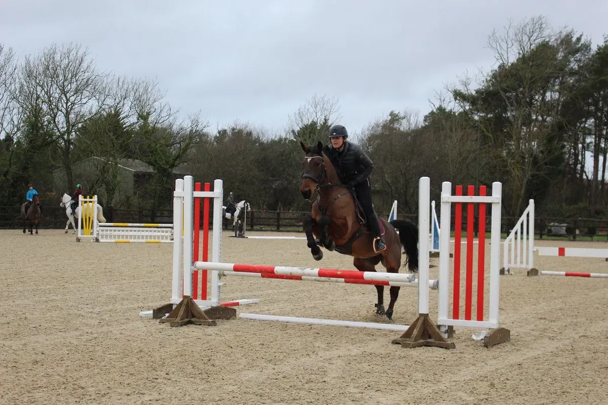 8225535512859-of5z0thkrrquvr80fty4-IMG-9584 thumbnail image