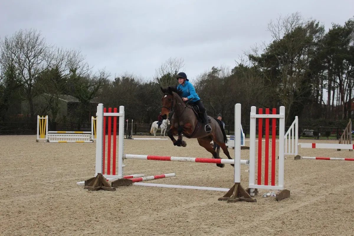 8225535923598-habgkt77n9bh4f4qhijpk-IMG-9581 thumbnail image