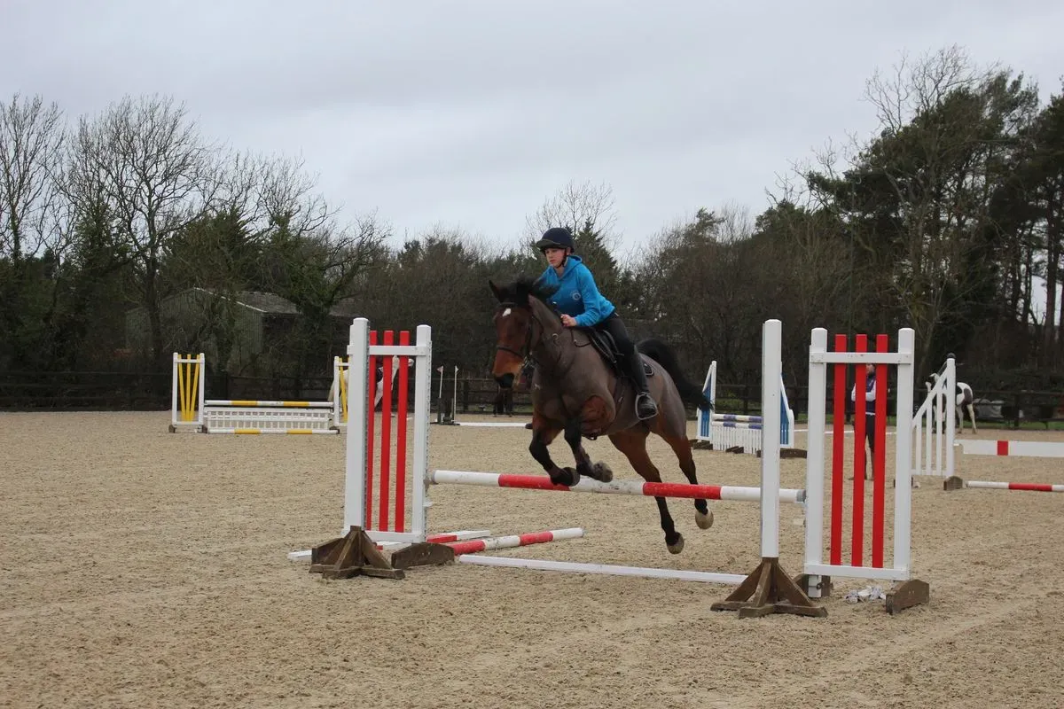 8225535964455-jusi814bzap68v6d3k7066-IMG-9580 thumbnail image