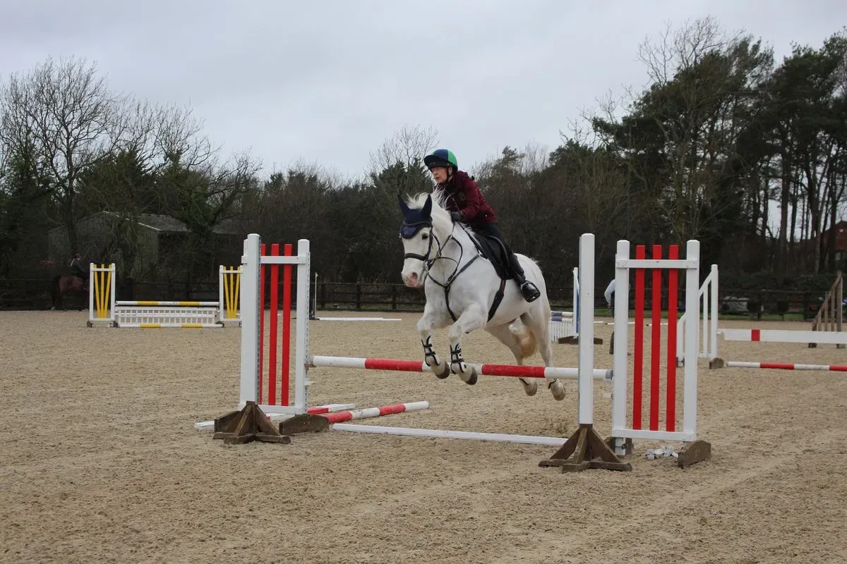 8225536006556-zj97b6zb3ba1zo0sf1qjab-IMG-9579 thumbnail image