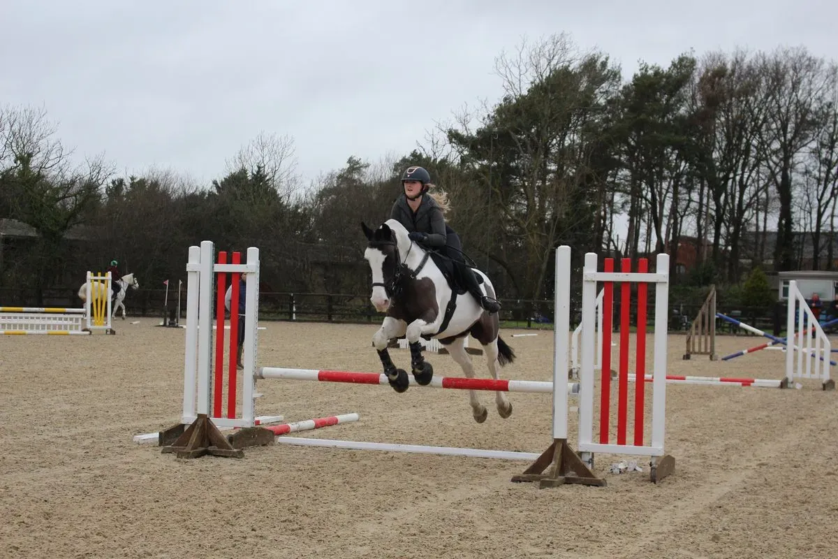 8225536141731-k2nmjmscn5rjqo9hxs06f-IMG-9578 thumbnail image