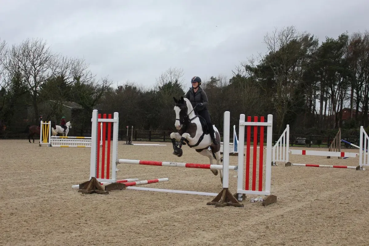 8225536190055-cabz41om68fvf42ub1a3ic-IMG-9571 thumbnail image