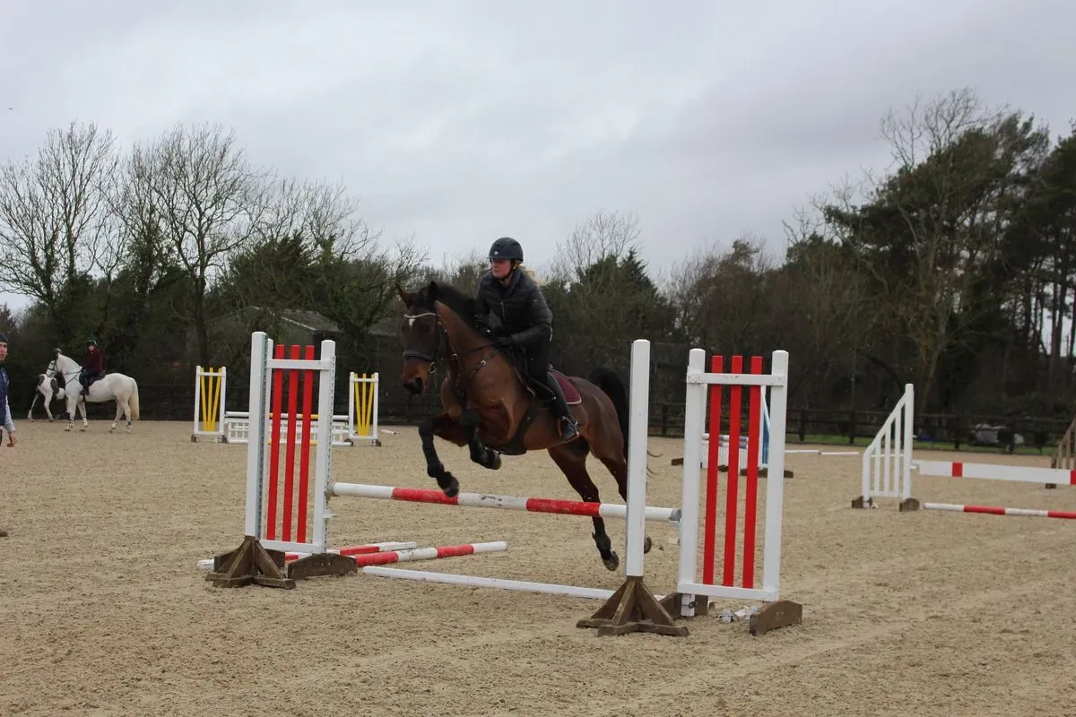 8225536231938-30p6taui6so56ikg30ywie-IMG-9569 thumbnail image