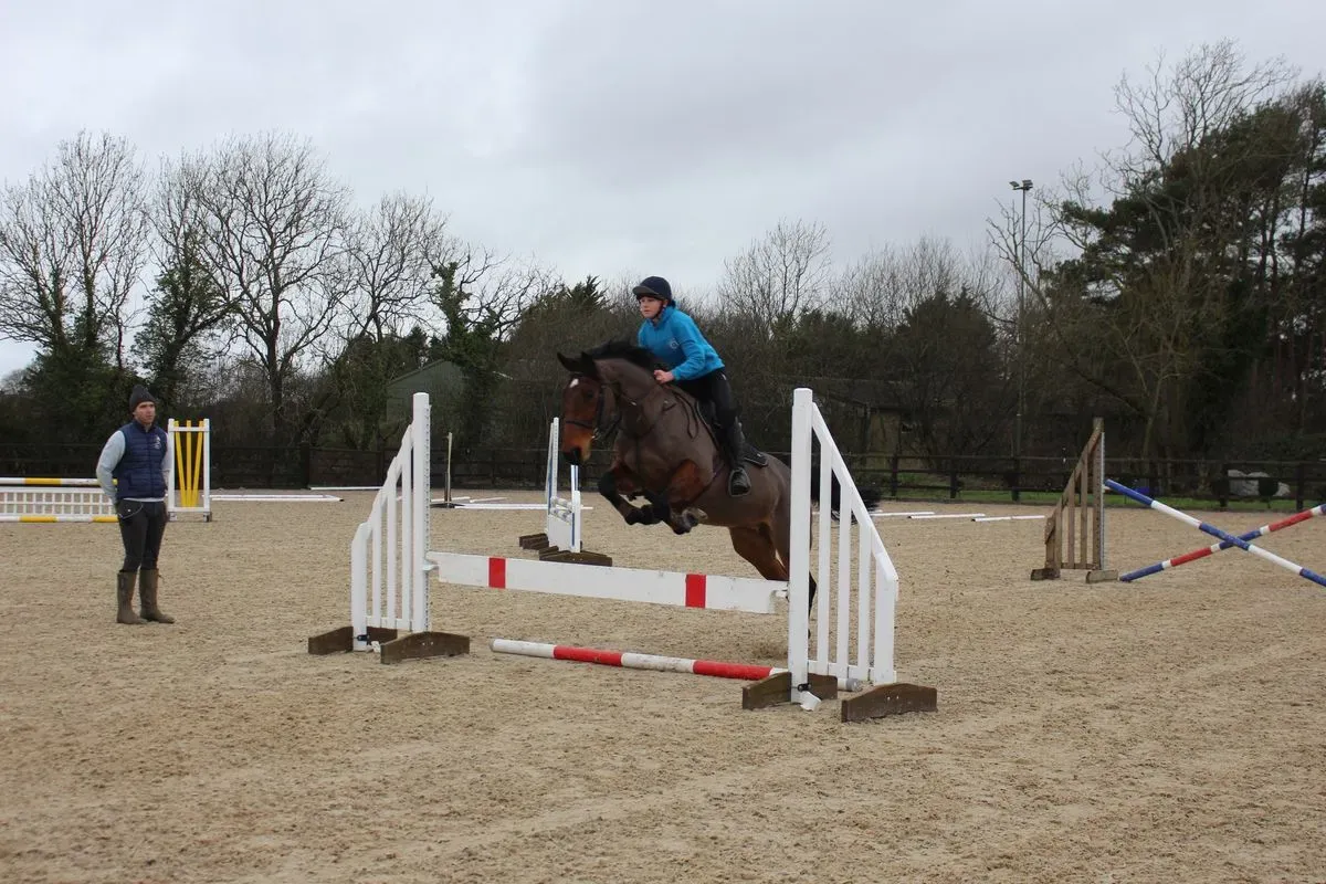 8225536289045-ehrhgfo7hig2rcuqey2i-IMG-9567 thumbnail image