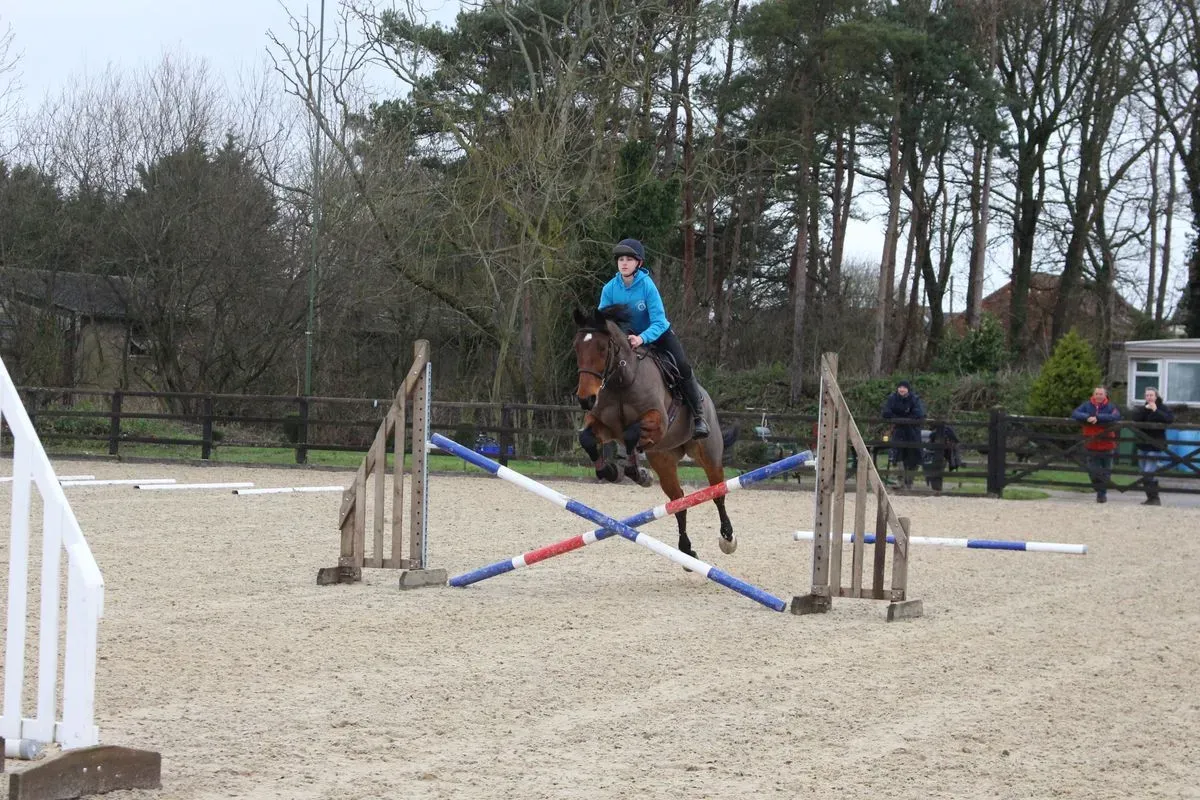 8225536316880-x2cs5lpcvi33vnnaiel74-IMG-9566 thumbnail image