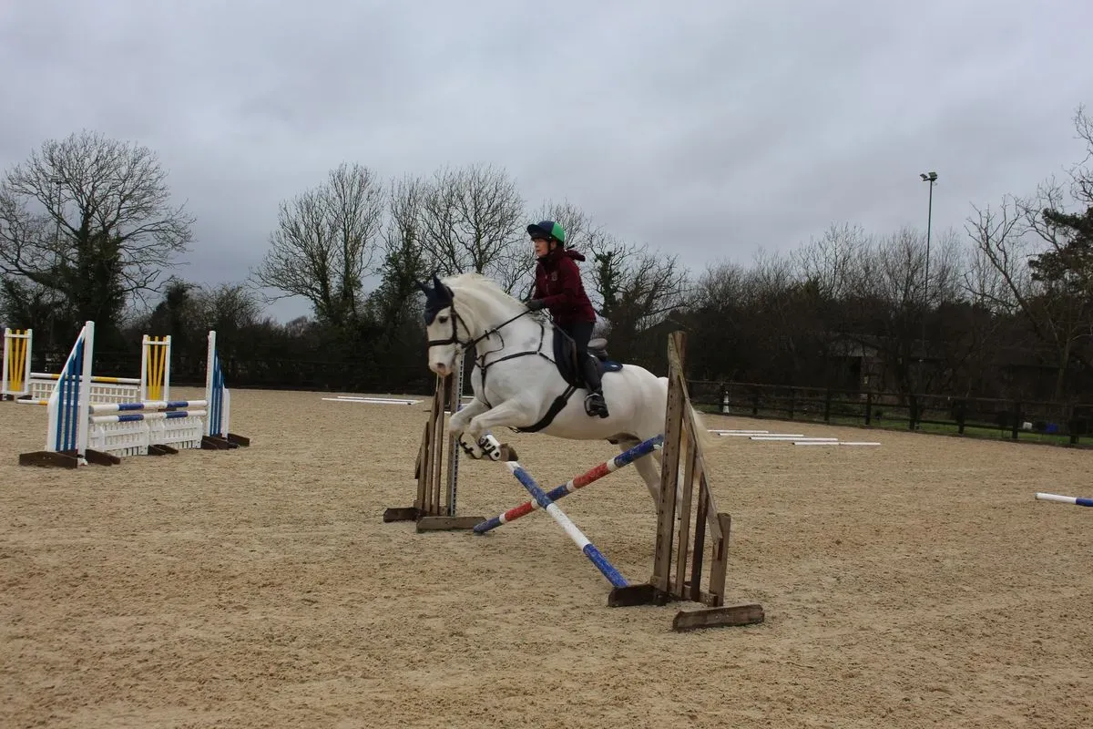 8225536464825-drlar4i3ol35kuqmb529o-IMG-9545 thumbnail image