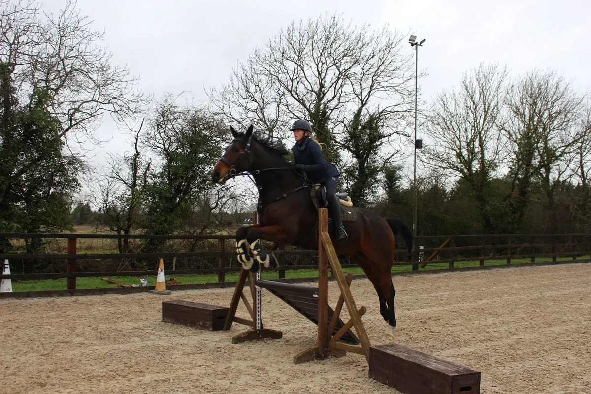 8225619900045-d3pm0wwdd8mdixi664jp4u-IMG-9543 thumbnail image