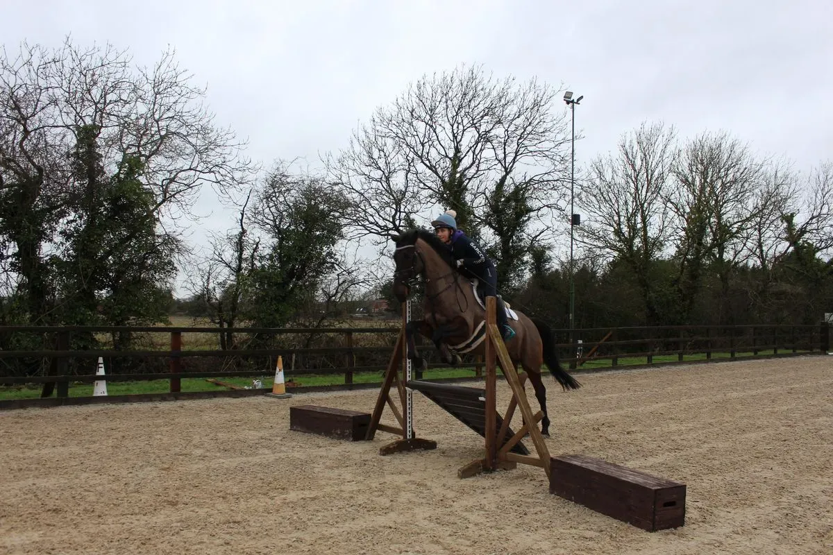 8225619935236-b1r2tuncg6d73gfhkqvw9u-IMG-9541 thumbnail image