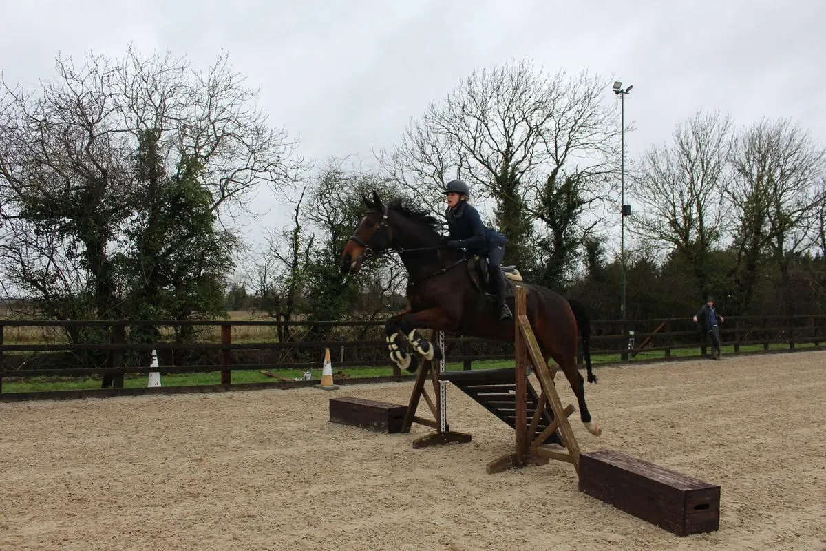 8225619980999-ua9ulfq8wb8uxm7bglk0bq-IMG-9540 thumbnail image