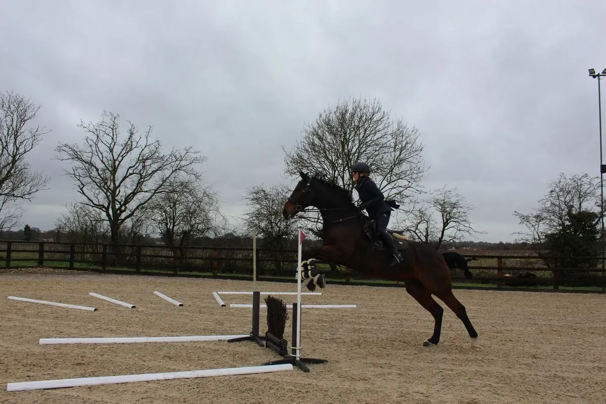 8225620034287-rqtvu2ucethyqp5niirr5p-IMG-9535 thumbnail image