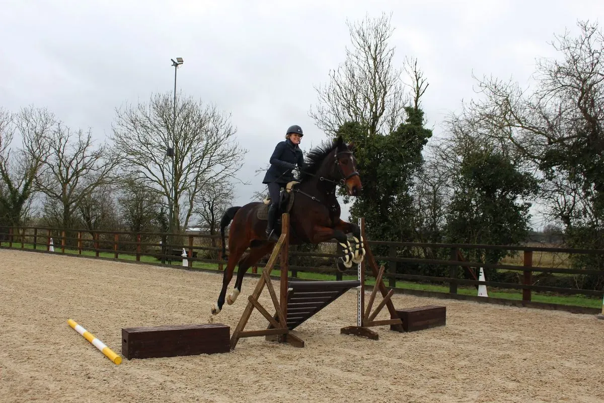 8225620078265-dm4xk6nbygoi248c1lncc-IMG-9533 thumbnail image