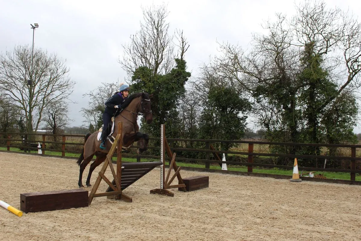 8225620140829-awl2nfvuhrusdta57zt3d-IMG-9531 thumbnail image