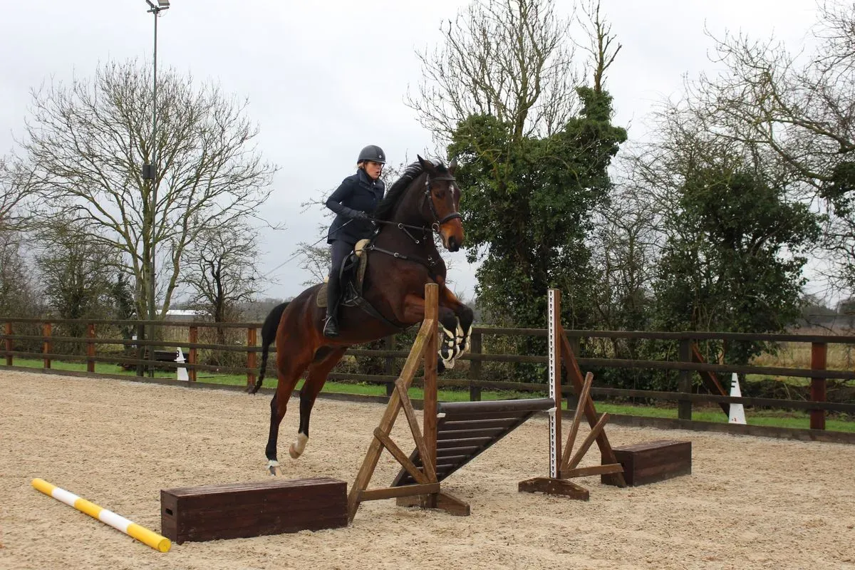 8225620183845-9nhr8s3jzyrykaum0osz-IMG-9529 thumbnail image