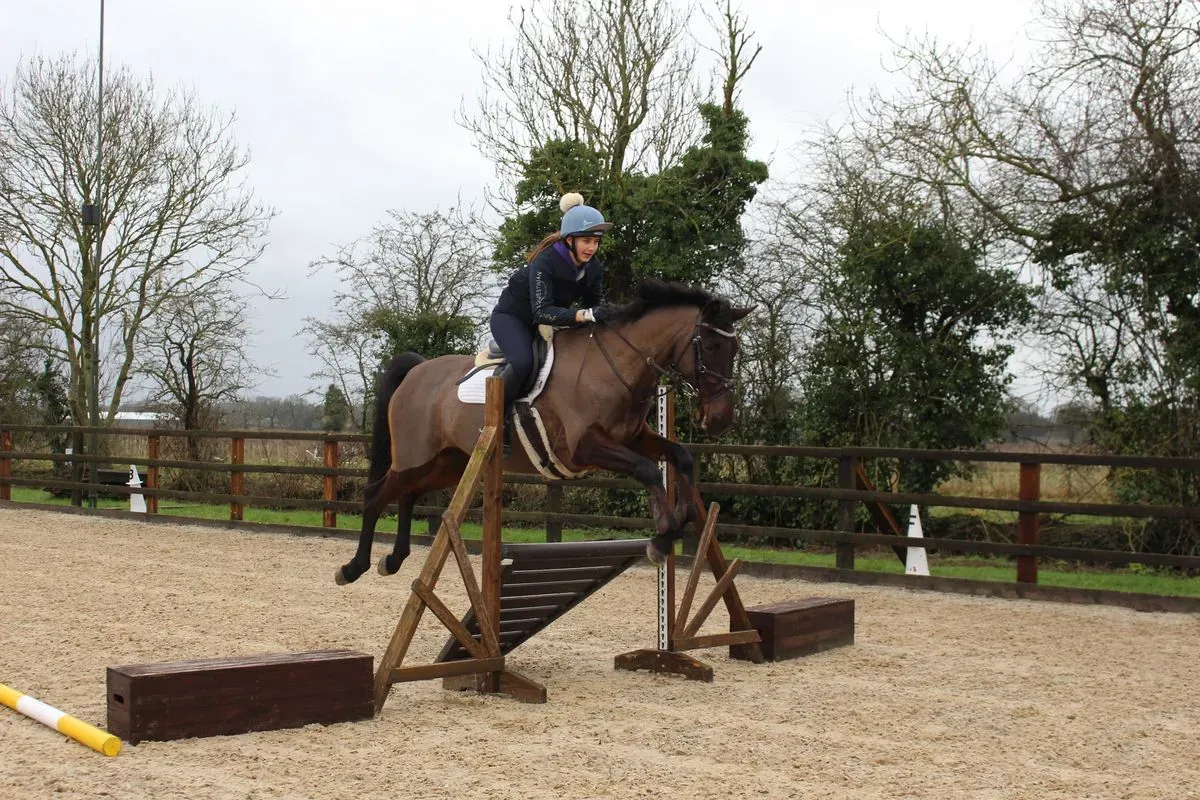 8225620228578-3nfgs53kkc6q61pwaxb4ub-IMG-9527 thumbnail image