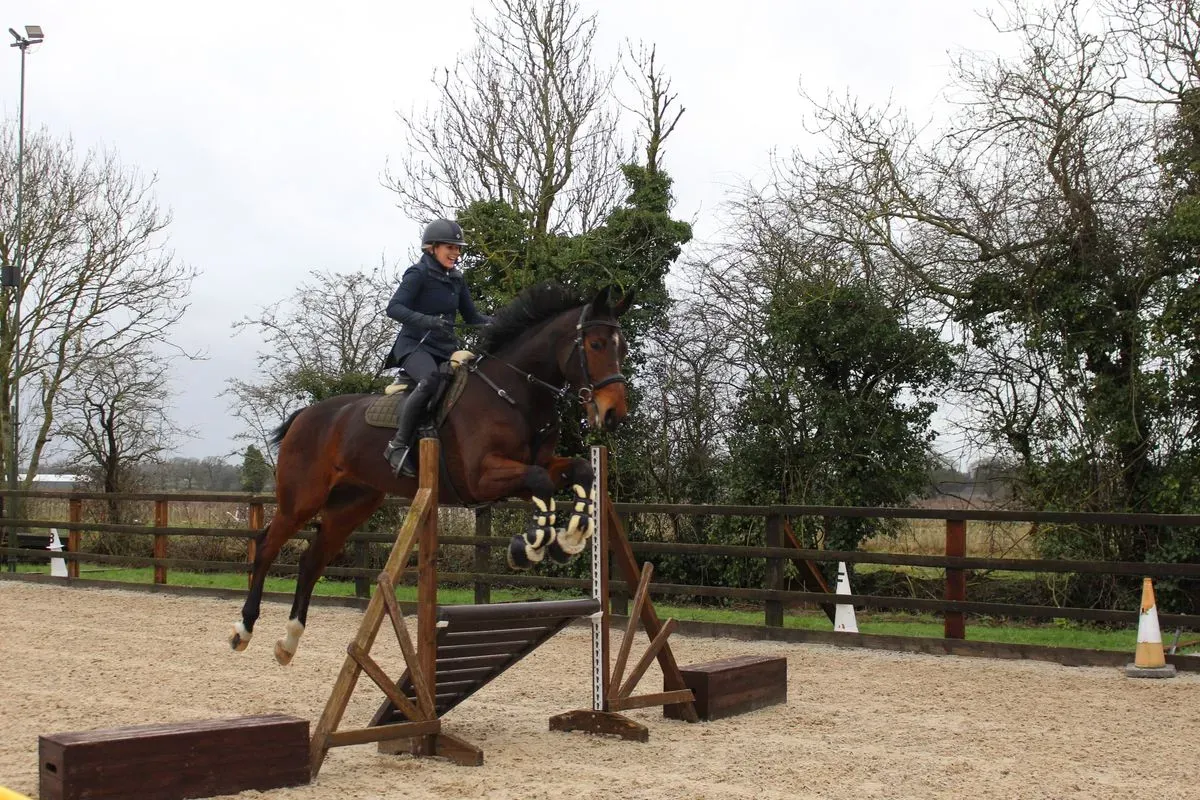 8225620299350-30fm5l0ariy4x4z0ve16wa-IMG-9525 thumbnail image