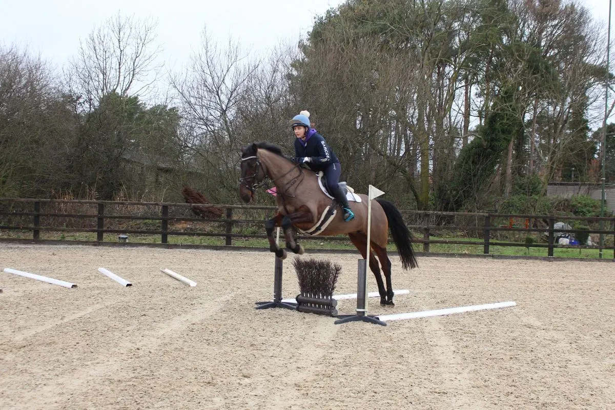 8225620353521-zyqo7dbu6qgcsq4h0z6p9v-IMG-9523 thumbnail image