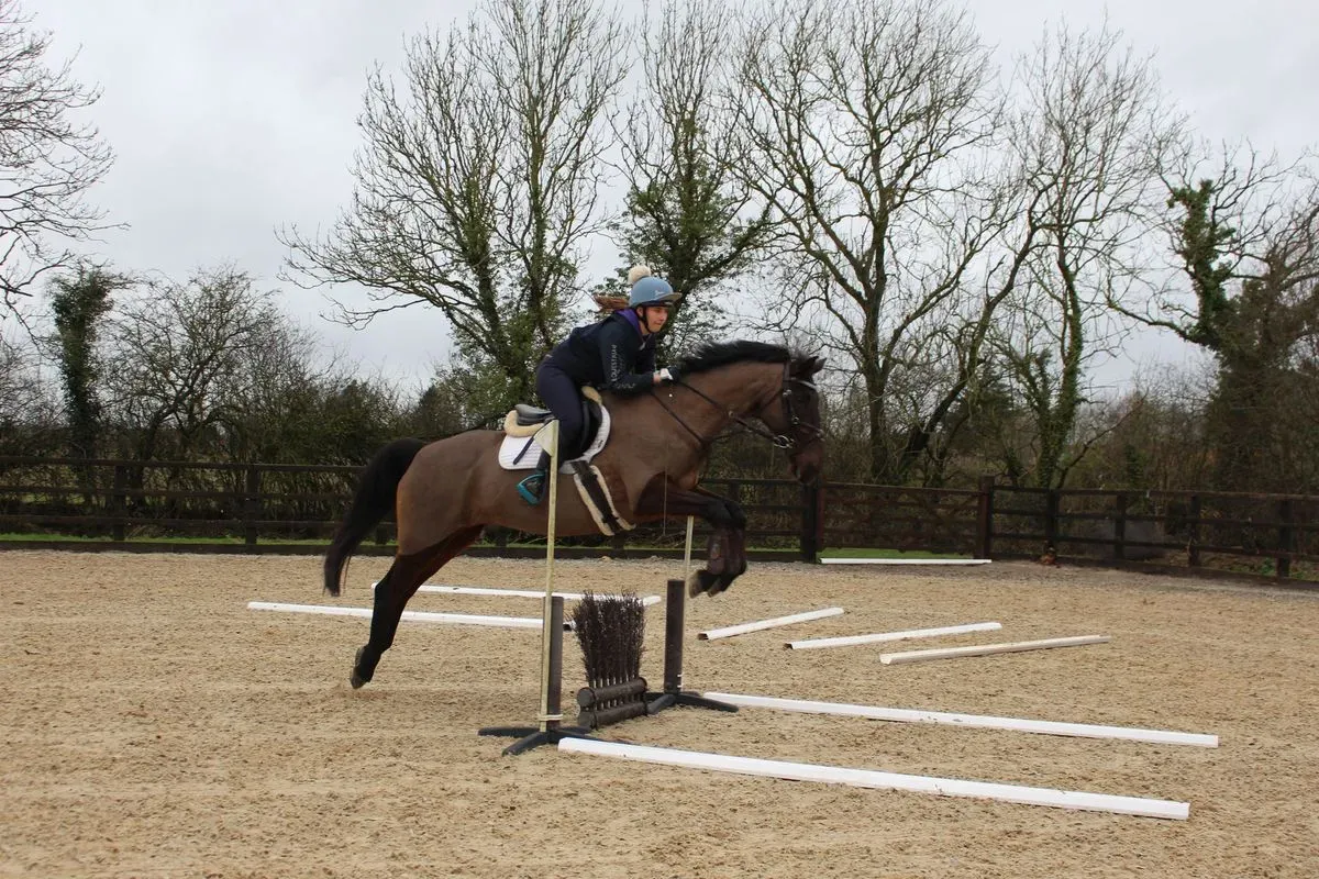 8225620410606-mt8u1h3ijsa77qkry4p5f-IMG-9521 thumbnail image