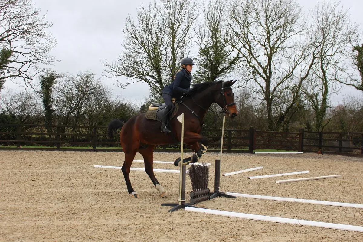 8225620481512-jm94eoenvtp2j75x0av88-IMG-9520 thumbnail image