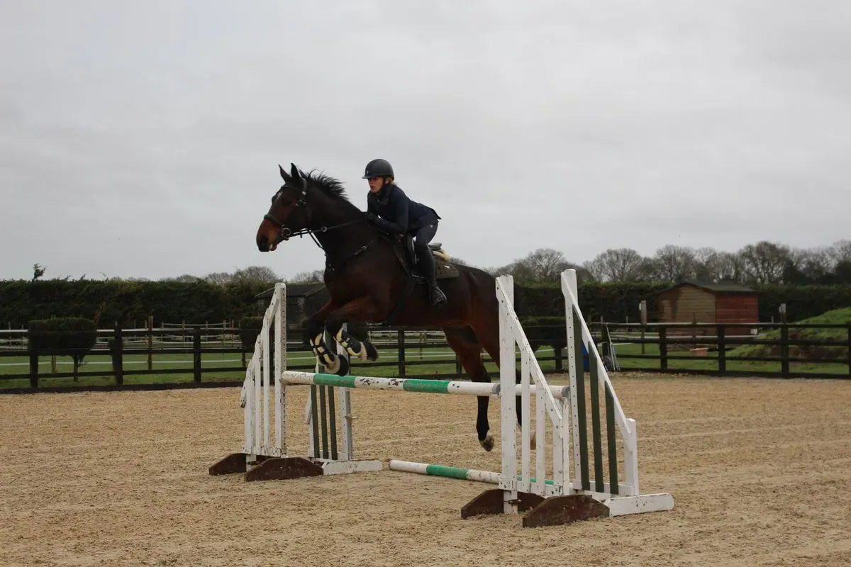 8225620524162-zs1wjkybksgmde5xzaoiga-IMG-9516 thumbnail image