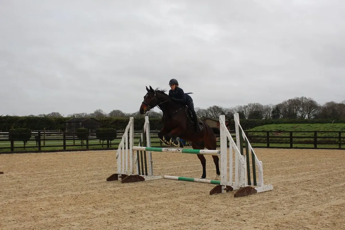 8225620580388-cmyhkkei93d2hurulupdy3-IMG-9515 thumbnail image