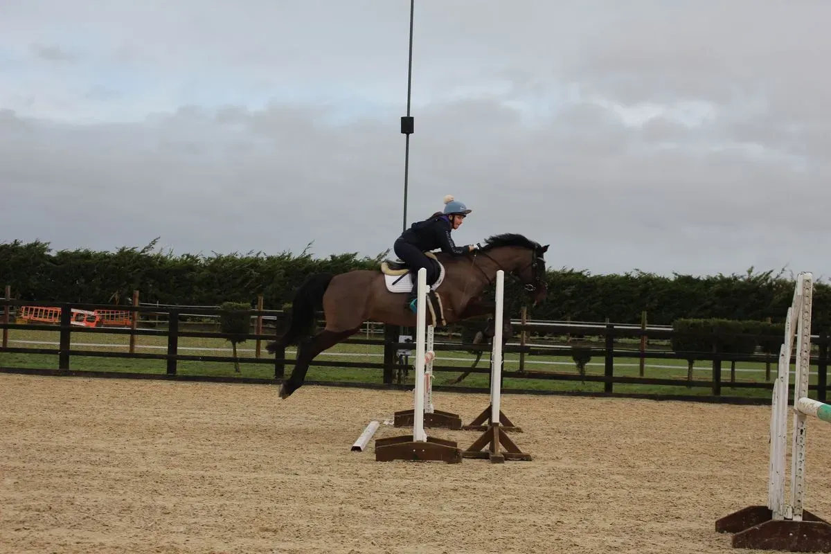 8225620619078-03on652b81tytvtgv7eoots-IMG-9513 thumbnail image