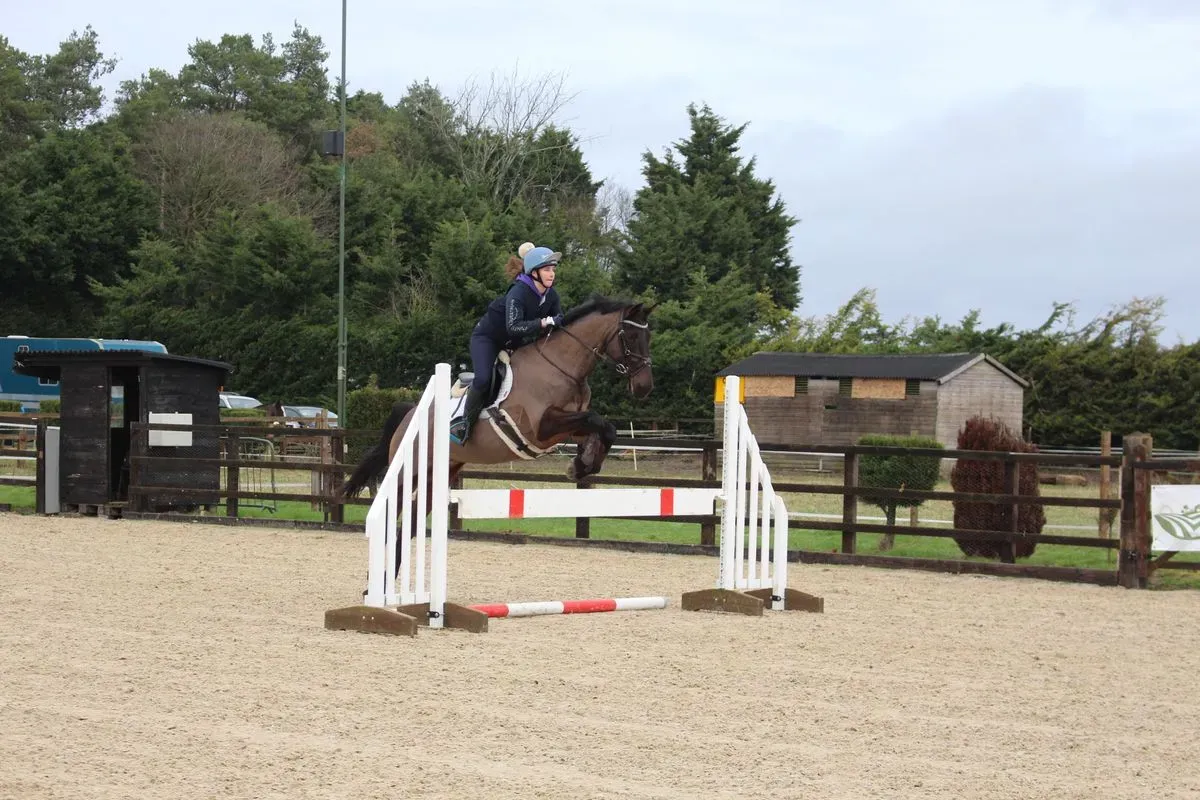 8225620660307-08v0vf15p8tdw5ahdowk3yd-IMG-9511 thumbnail image