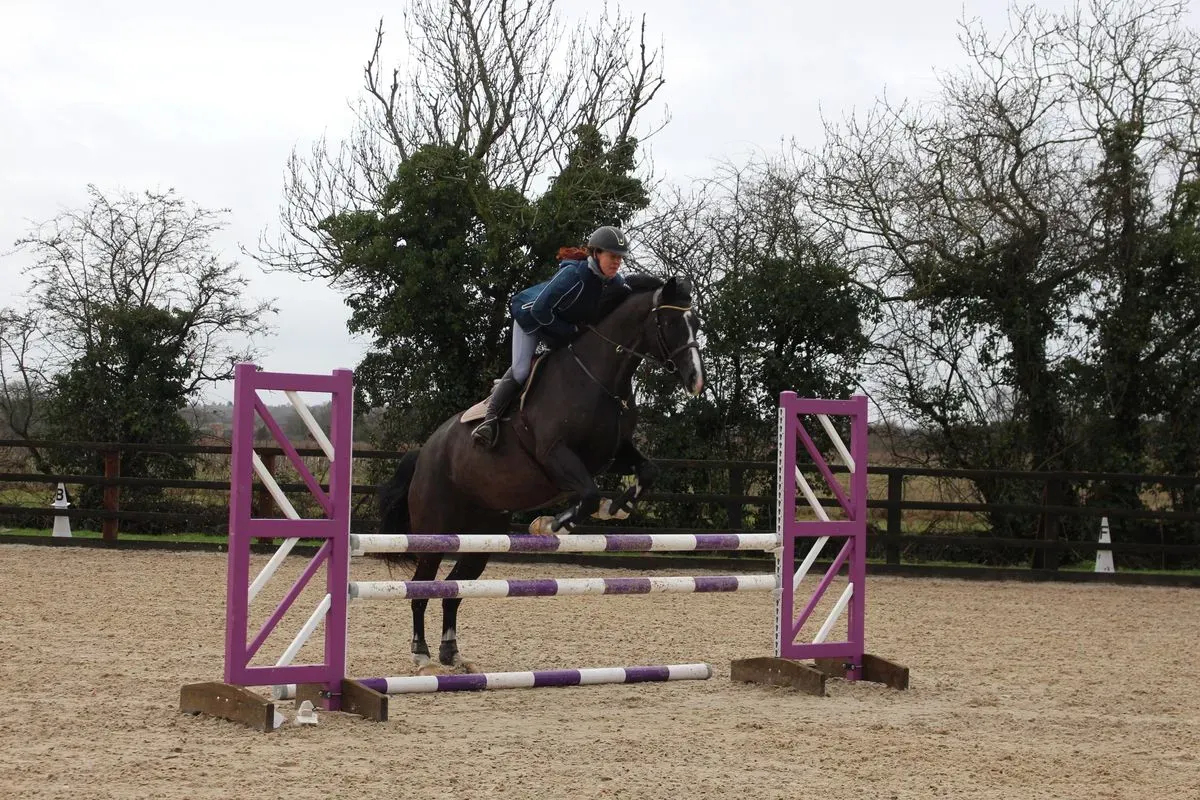 8225620744761-z687pyxllynjpvfum1b7p-IMG-9508 thumbnail image