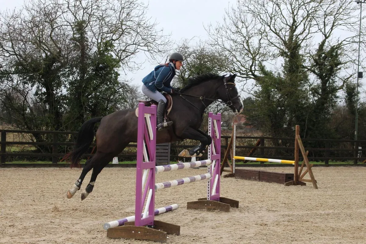 8225620857954-zscq47mxvm83bwjozbmlxh-IMG-9504 thumbnail image