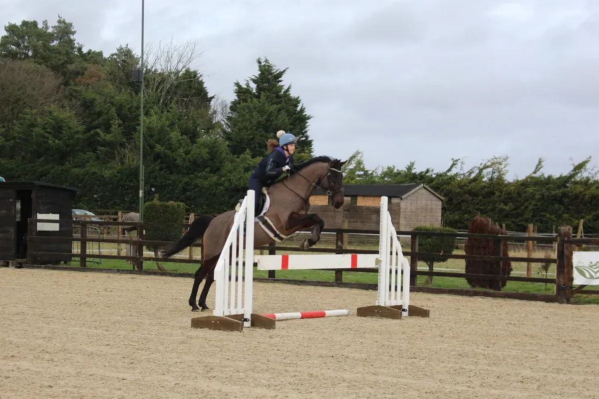 8225621003529-d9cq0f20mac4m8gbwtwqlo-IMG-9496 thumbnail image